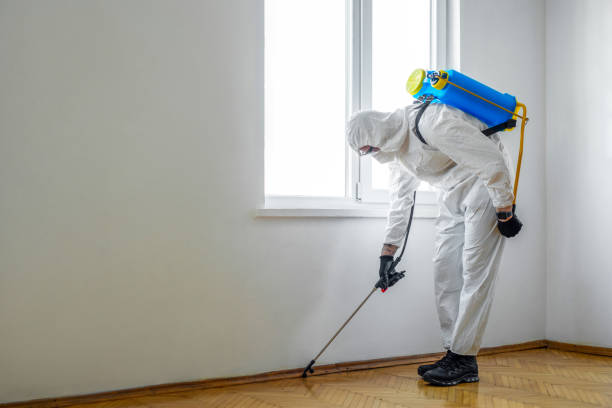 Best Pest Control for Multi-Family Homes  in White Mountain Lake, AZ